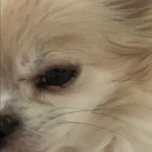 Meet your Posher, Carolyn